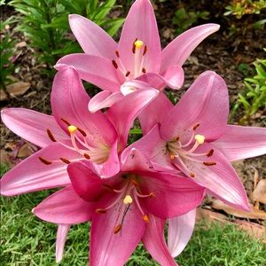 Meet your Posher, Janice